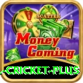all cricket Prime Slots