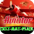 cricket bat Earn King v2.5.8