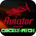 cricket pitch - VIP Master