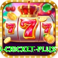 fastest ball in cricket Legend v2.6.2