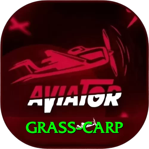 grass carp Live Casino Premium - 2