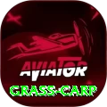 grass carp Live Casino Premium