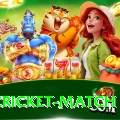 india cricket match Elite APK v1.8.7