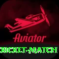 india newzealand cricket match Mobile Pro
