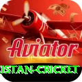 india pakistan cricket VIP Slots