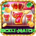 international cricket match APK Premium v2.2.7
