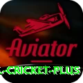 international cricket Gaming Turbo