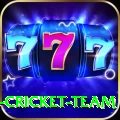 ireland cricket team Bonus Supreme v3.9.2