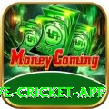 live cricket app Game Deluxe v2.3.2