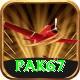 Pak67 VIP Pro v1.9.5