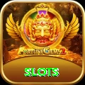 slots Pakistan VIP v4.9.1