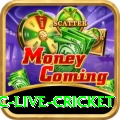 smartcric live cricket Slots Plus v2.4.6