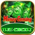 test cricket VIP - Casino & Slots