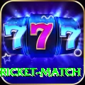 to day cricket match - Royal Edition v2.4.8