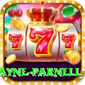 wayne parnell Premium PK v5.8.9
