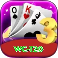 wc t20 Game Pro v1.6.8