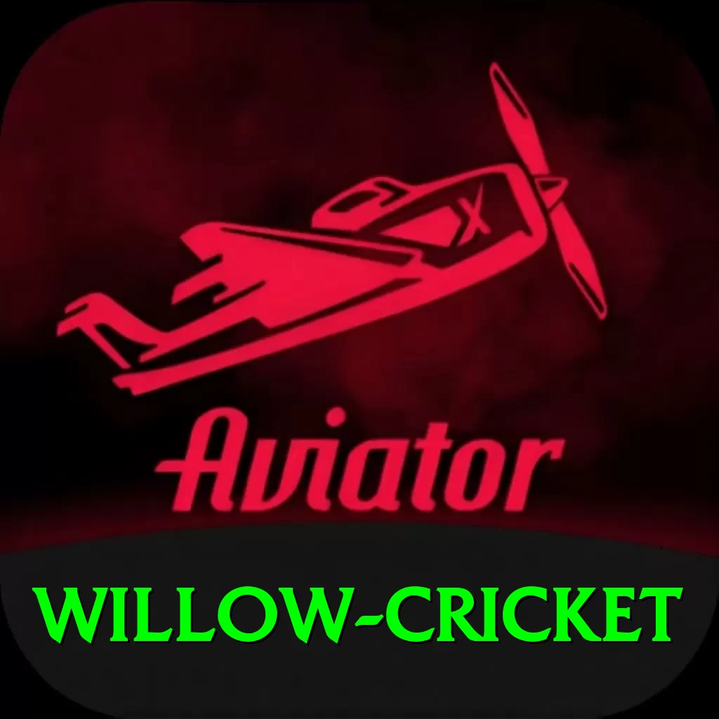 willow cricket Games Ultimate - 2